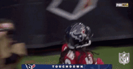 houston texans football GIF by NFL