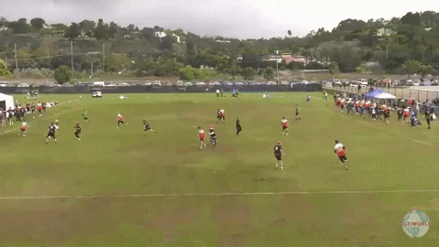 flikulti ultimate frisbee flik GIF