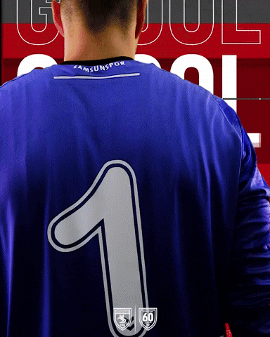 King Of The North GIF by SAMSUNSPOR