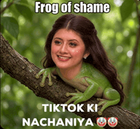 Tk GIF