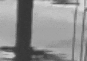 Art Film GIF by jorgemariozuleta