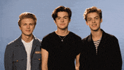 waving hi GIF by New Hope Club