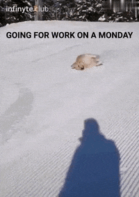 InfinyteClub work cry monday doggo GIF
