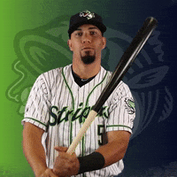 GoStripers swing gwinnett stripers ortega GIF