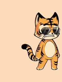 HeroGalaxyNFT cats drift hg herogalaxy GIF