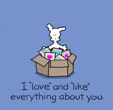 GIF by Chippy the Dog
