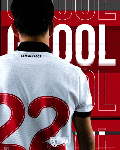 King Of The North GIF by SAMSUNSPOR