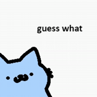 Spainnubcat GIF