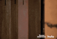 Tv Land Apple GIF by HULU