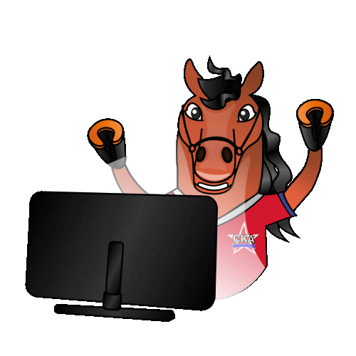 Football Soccer Sticker by FC SKA