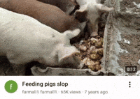 Patar GIF
