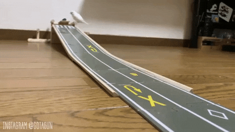 redhelveticake giphygifmaker birb GIF