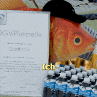 Goldfisch GIF