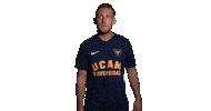 Ucam Murcia Cf Futbol Sticker by UCAM Universidad