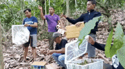 animalsasia flight animalsasia birdrelease GIF