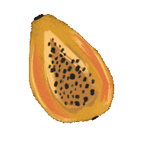 lissalistudio food summer yellow orange Sticker