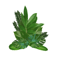 Animation Summer Sticker by Guilty Monkey