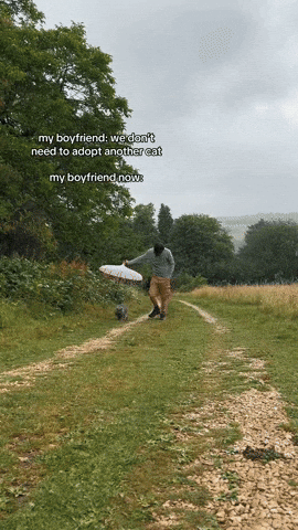 cuteanimalland giphyupload GIF