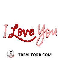 Happy Valentines Day Love Sticker Sticker by Trealtorr