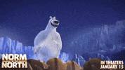 #normofthenorth #polarbear GIF by Lionsgate