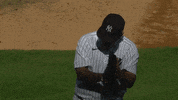Sport Baseball GIF by MLB