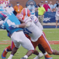 Florida Football Gatorsfb GIF by Florida Gators
