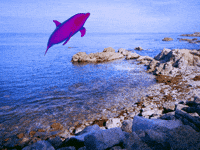 GIF by namslam