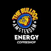 Energy GIF by The Bulldog Amsterdam