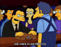 Season 3 Episode 10 GIF by The Simpsons