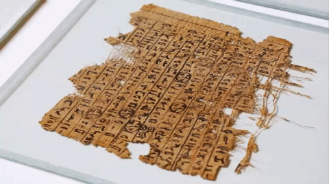 papyrus GIF