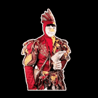 NESPOLOGIULLARE ok vittoria va bene medioevo GIF