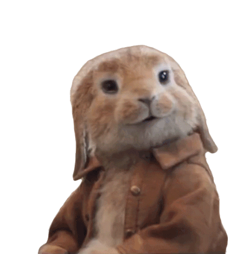 Look Bunny Sticker by Peter Rabbit Movie