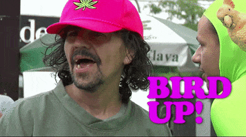 bird up GIF by The Eric Andre Show