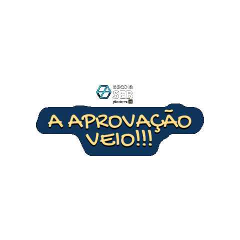 Aprovados Sticker by Escola Seb