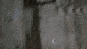 Engauge GIF by Northwest Film Forum