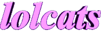 lolcats Sticker by AnimatedText