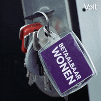 Verkiezingen Stemvolt GIF by VoltNL