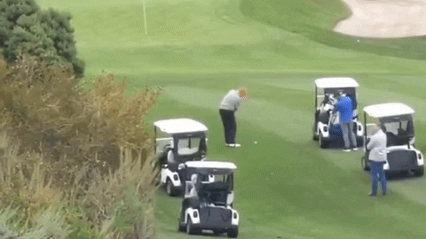 harryfox giphygifmaker donald trump golf GIF