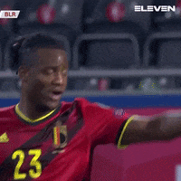 Celebration Belgium GIF by ElevenSportsBE