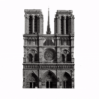 erickdomca notredame GIF