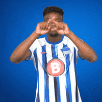 Football Bundesliga GIF by Hertha BSC