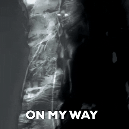 Travel Roam GIF by J. Lupo Arms