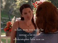 season 2 netflix GIF by Gilmore Girls 