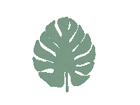 Ilustdrg nature plant leaf leaves Sticker