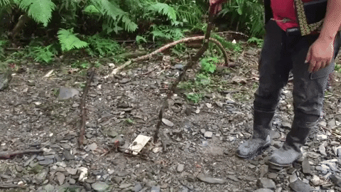 chayalin giphygifmaker GIF