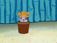 season 8 GIF by SpongeBob SquarePants