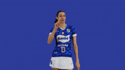 Volleyball Gattaz GIF by Minas Tênis Clube