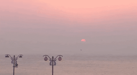 yj_jane giphyupload GIF