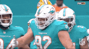 Miami Dolphins Football GIF by NFL