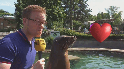 kÃ¼sschen love GIF